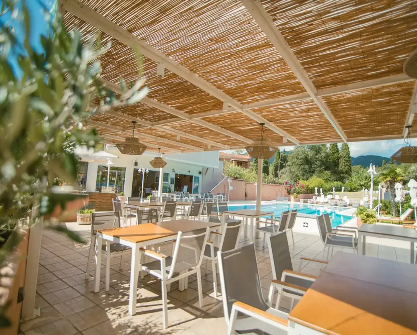 corfu-dominoes-newsletter-01